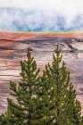 Elevated view of Grand Prismatic spring and colorful bacterial mat-Yellowstone National Park Art Print